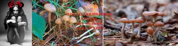 мяу мяу кристалл Аркадак