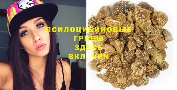 кокс Арсеньев
