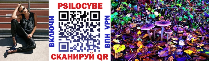 Псилоцибиновые грибы мицелий  гидра онион  Кумертау 